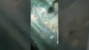 Снятие пром вала, на ниве 2121.