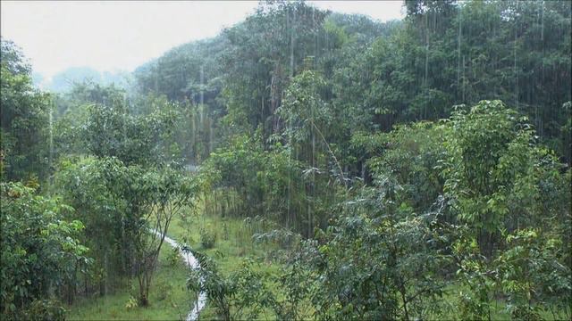 Спокійна музика без слів смотреть онлайн