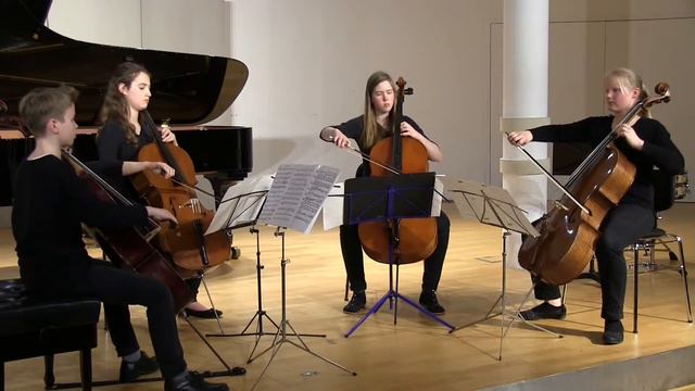 David Popper - Polonnaise op. 14 d-moll смотреть онлайн