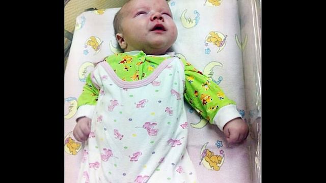 Кошка боролась за жизнь двухмесячного МАЛЫША, согревая его в холодном подъезде. смотреть онлайн