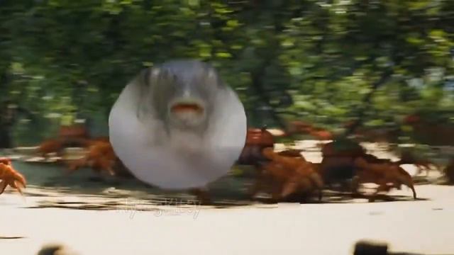 PufferFish Rave 10 hours смотреть онлайн