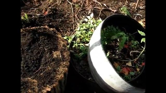 теплая грядка под огурцы (нашел много) смотреть онлайн
