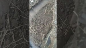 ТРОТУАРНАЯ ДОРОЖКА ИЗ ПОКРЫШЕК СВОИМИ РУКАМИ