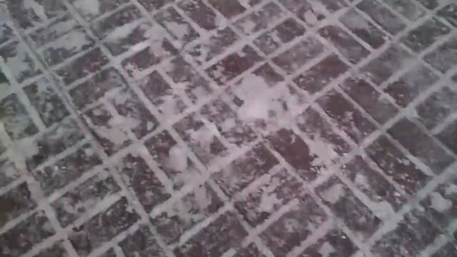 Камера Sony Ericsson Xperia Active (camera test), HD-видео смотреть онлайн