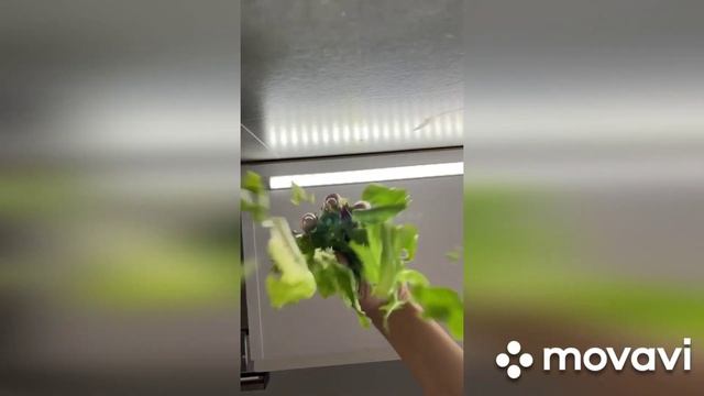 7 вкусных завтраков, на скорую руку... смотреть онлайн