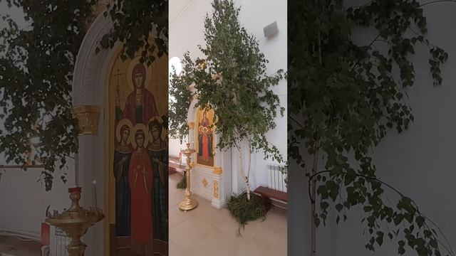 "Без берёзы не мыслю России" автор - Олег Шестинский смотреть онлайн