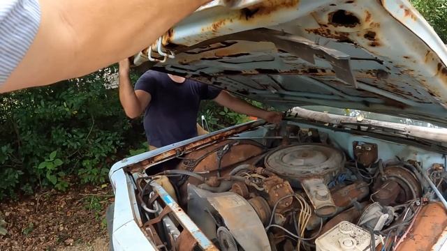 Exploring East Texas Junkyard Full of Cheap Project Cars! смотреть онлайн