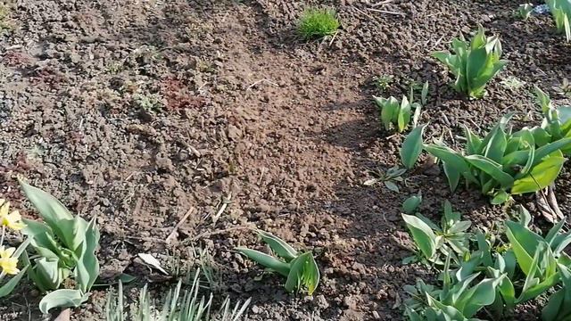 Что я делаю дома, чем занята. смотреть онлайн