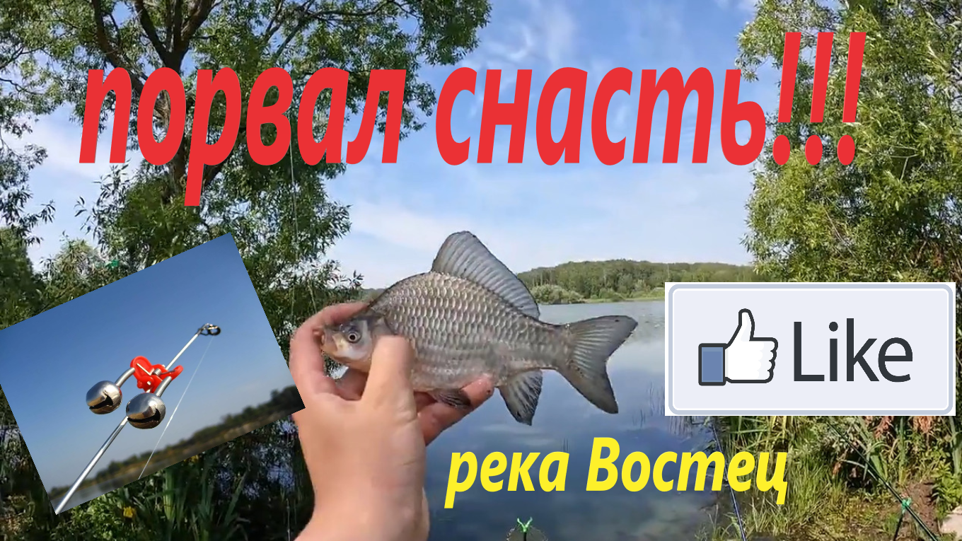 Карась обрывает донки на реке Востец!!! Такого клёва ещё не было!!!!! смотреть онлайн