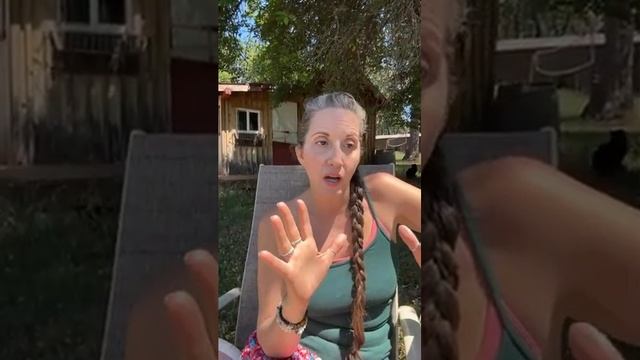 ⭐️The Summer Solstice☀️Channeling Energy Update, Oracle & Astral Spirit Walk! Portal & ParaShift смотреть онлайн