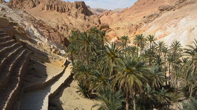 Пустыня Сахара, оазис, июнь 2019 смотреть онлайн