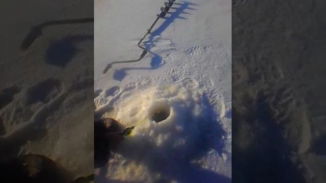 Глухозимие Рыбалка Кубенское Озеро, смотреть онлайн