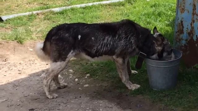 Пожар на Белой речке в Кольчугино