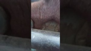 Не слил воду с двигателя д-65