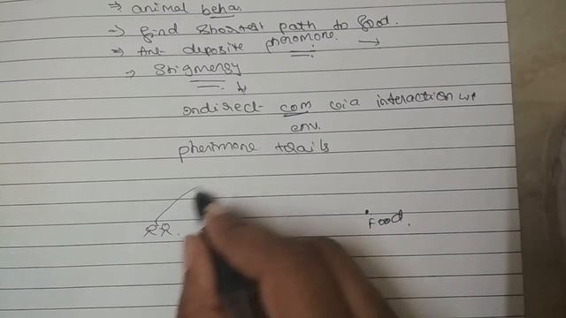 Ant Colony Optimization - In easy way смотреть онлайн