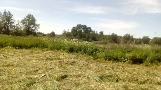 Заготовка сена для кроликов смотреть онлайн