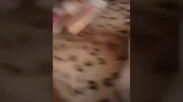 Все для дня рождения из Фикс прайс . смотреть онлайн