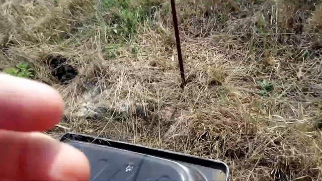 ПРИКОЛ: КАК ПОСАДИТЬ ВИНОГРАД. КАКОЙ СОРТ ВИНОГРАДА ЛУЧШЕ ПОСАДИТЬ. БЕЗ МАГИИ НЕ ОБАШЛОСЬ. смотреть онлайн