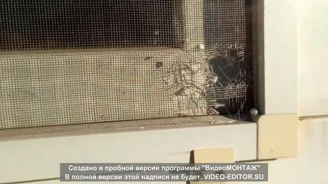 почему потеют окна