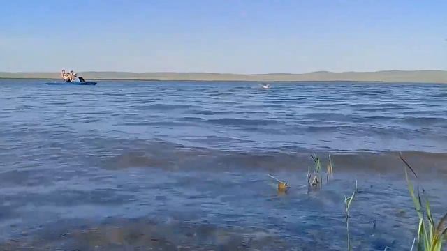 Отдых на озере Шира 1 08 19 смотреть онлайн
