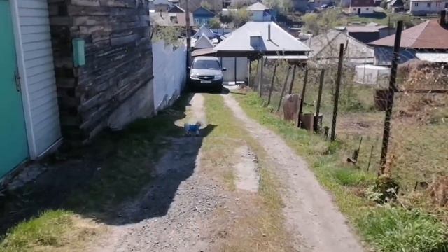 ДЕНЬ С НАМИ/ВЛОГ/В ГОСТЯХ У РОДИТЕЛЕЙ смотреть онлайн