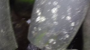 Экстремальная морская рыбалка. Калининград. Балтийск. Ловля салаки.