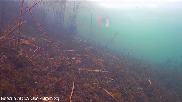 Блесна зимняя AQUA Око - игра блесны, подводная сьемка смотреть онлайн