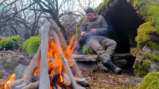 Solo Camping In Forest  | BUILDING BUSHCRAFT SHELTER | Bushcraft Survival | Alone In Wilderness