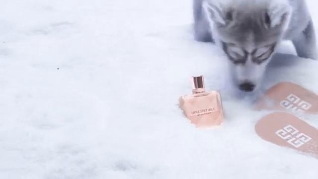 GIVENCHY BEAUTY HOLIDAY SEASON 2022 Hero Movie смотреть онлайн