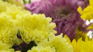 Для жен, матерей и вдов участников СВО провели мастер-класс к 8 Марта