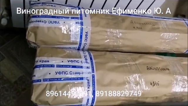 рассылка саженцев и черенков винограда Почтой России смотреть онлайн