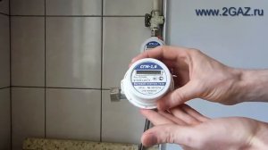 Газовый счетчик СГМ 1.6