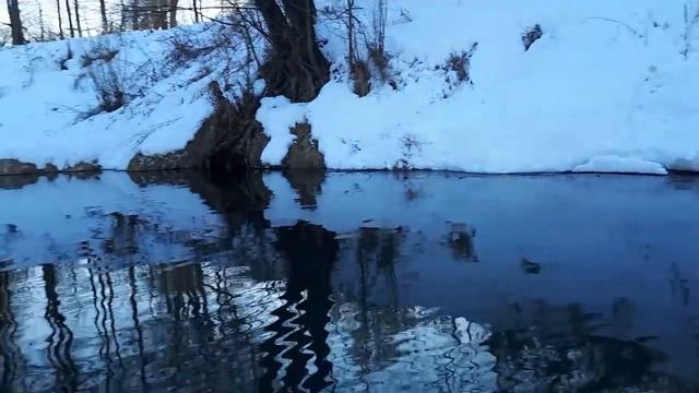 Экологическая катастрофа в Детчино смотреть онлайн