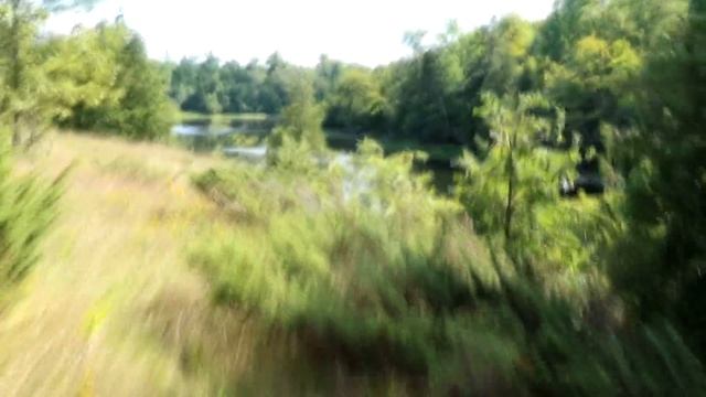 Why we gave up on the country life смотреть онлайн