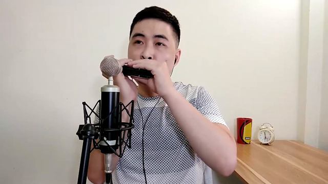[HARMONICA COVER] Cánh Hồng Phai | Sáng tác Dương Khắc Linh | Trần Toàn Cover #CHP смотреть онлайн