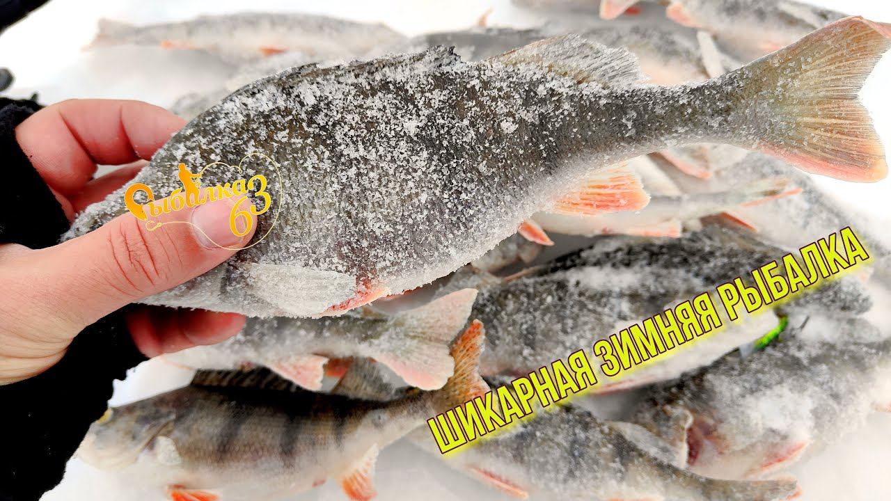 НАШЕЛ ЛУНКУ С ОКУНЕМ И ПОНЕСЛОСЬ!!! ШИКАРНАЯ ЗИМНЯЯ РЫБАЛКА ГЛУХОЗИМЬЕ смотреть онлайн