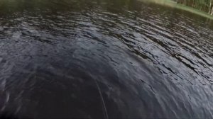 ЛАДОЖСКИЕ ШХЕРЫ / 3 ДНЯ ДИКАРЯМИ / РЫБАЛКА И ОТДЫХ В ПАЛАТКЕ НА ОСТРОВЕ В ИЮЛЕ.  КАРЕЛИЯ НА МАШИНЕ