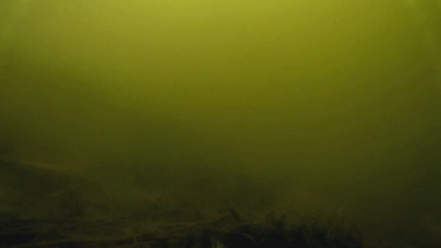 РЫБАЛКА ВЕСНОЙ: ПЛОТВА и КРАСНОПЕРКА на ЧЕРВЯ смотреть онлайн