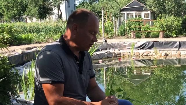 Цветет вода в пруду? Как очистить воду в пруду. Проверенный метод, который работает смотреть онлайн