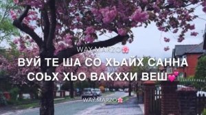 Макка Сагаипова-Са са ду хьомениг