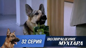 «Возвращение Мухтара»: «Плюшевый мишка сошел с ума» (1 сезон. 32 серия)