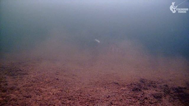 КАБАНЫ НЕ ДАЮТ ОПУСТИТЬ ПРИМАНКУ! ЯКУТИЯ. ПЕРВЫЙ ЛЁД смотреть онлайн