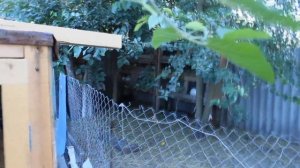 Двухъярусные клетки для кроликов.