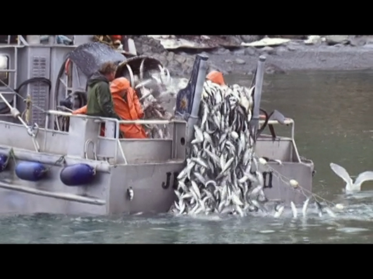 Рыбная лихорадка в Бристольском заливе (Bristol Bay Brawl) смотреть онлайн