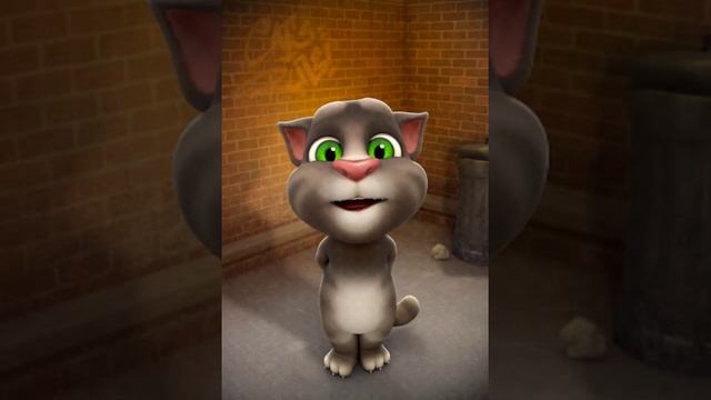 TalkingTom(5).mp4