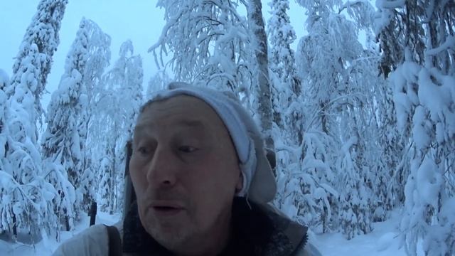 проверка капканов на куницу,есть куничка. смотреть онлайн