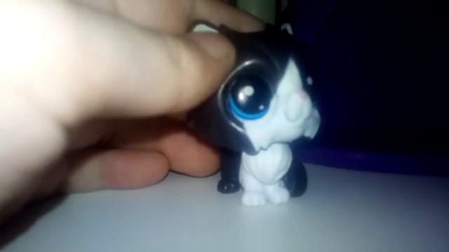 Обзор на дом чёрной кошки смотреть онлайн