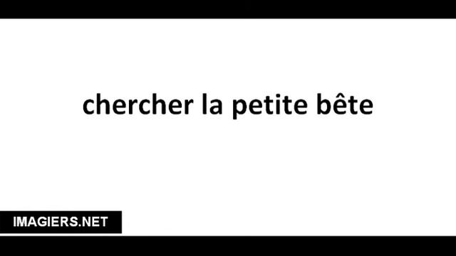 Pronounce French with Vincent # chercher la petite bête смотреть онлайн