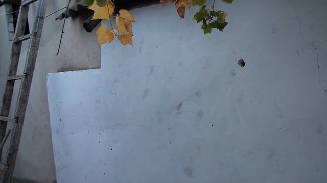 Все дела до 8 утра Печка Коровы смотреть онлайн