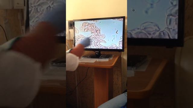 Здоровье это ваше внутреннее состояние ! смотреть онлайн